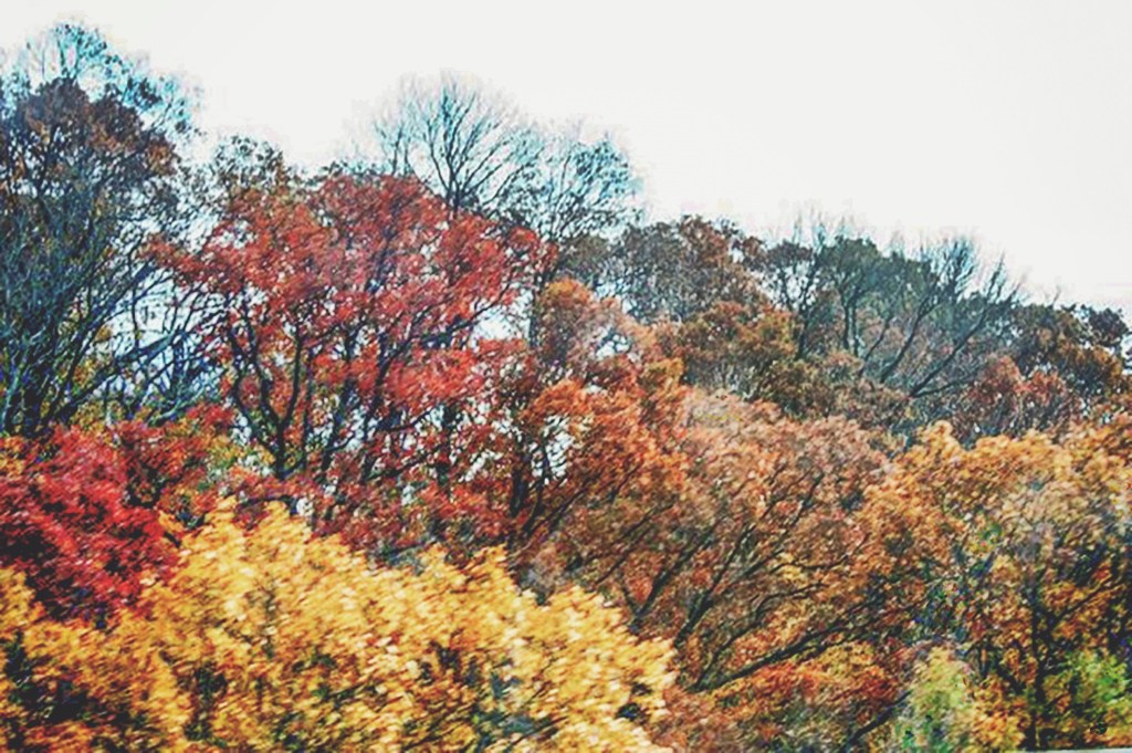 My Autumn Mood Board