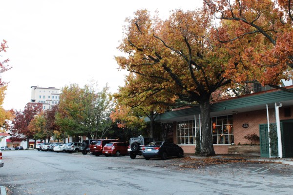 Processed with VSCO with s2 preset