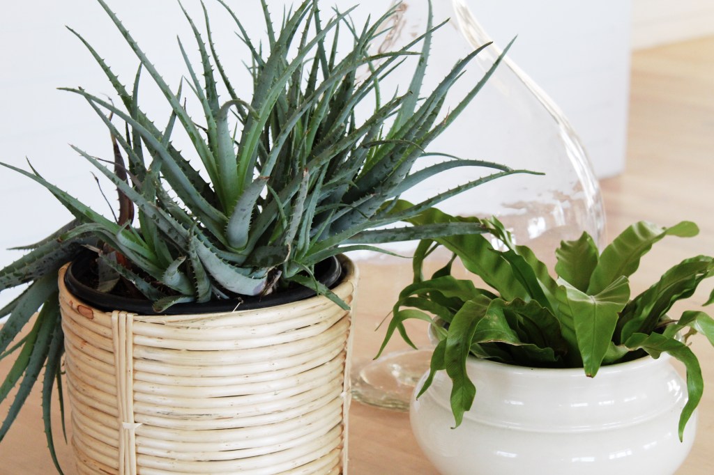 Why I’m Excited About&nbsp;Spring